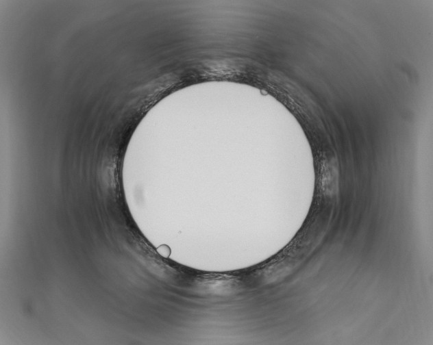 X0000110320514200907021204