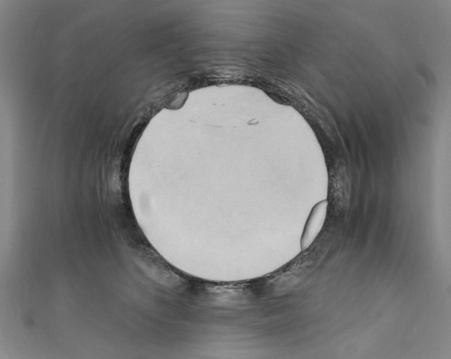 X0000110320516200907021204