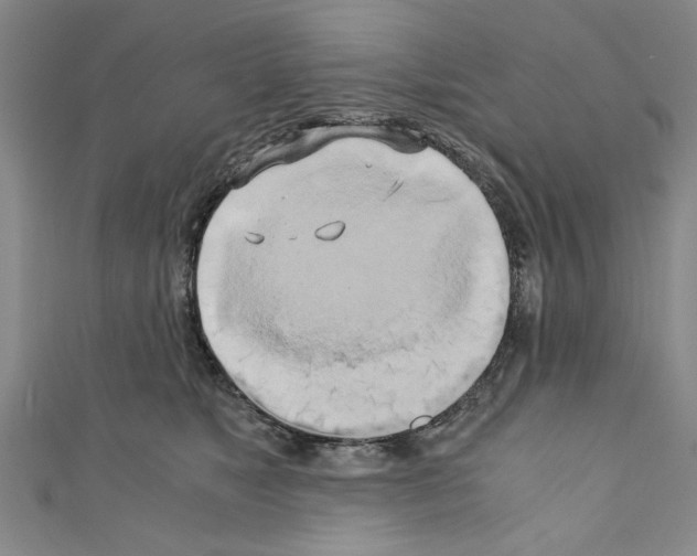 X0000110320517200907021204