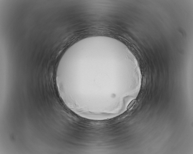 X0000110320520200907021204