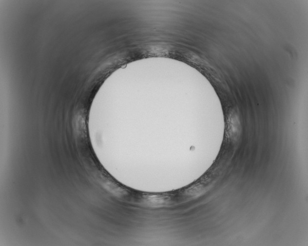 X0000110320522200907021204