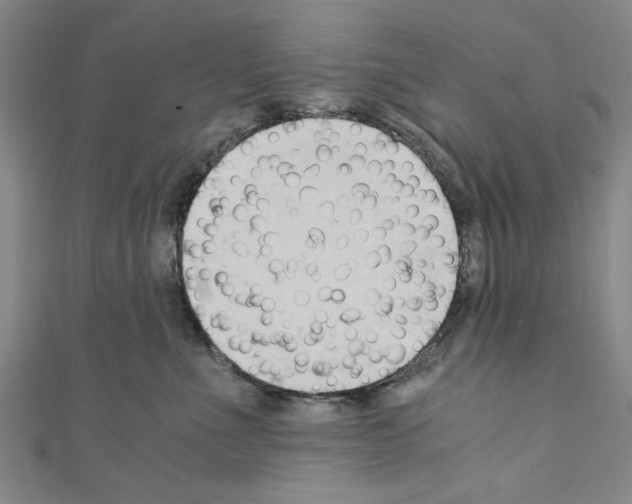 X0000110320523200907021204