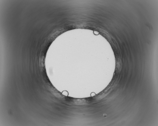 X0000110320525200907021204