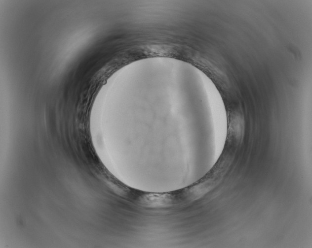 X0000110320526200907021204