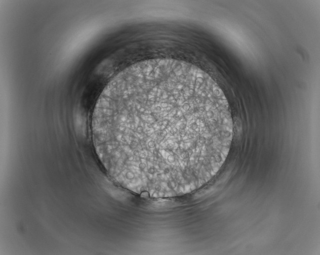 X0000110320527200907021204