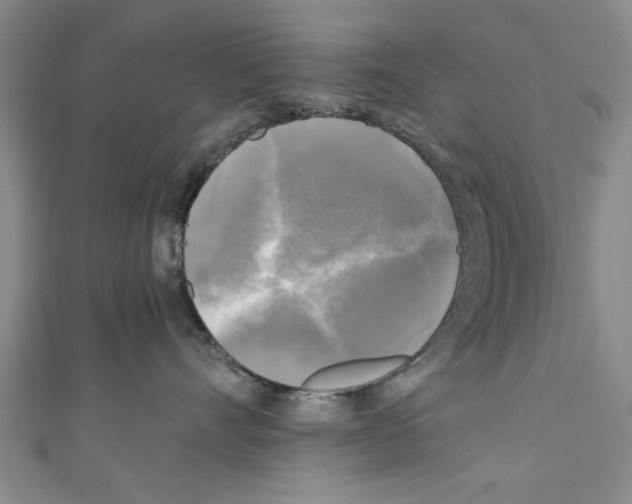 X0000110320528200907021204