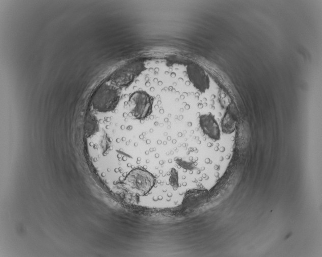 X0000110320529200907021204