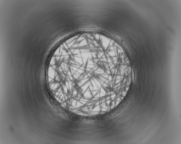 X0000110320531200907021204