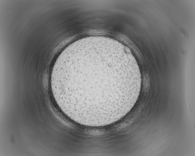 X0000110320533200907021204