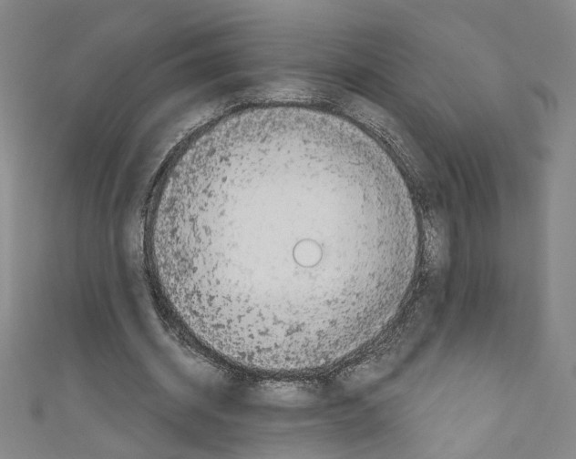 X0000110320534200907021204