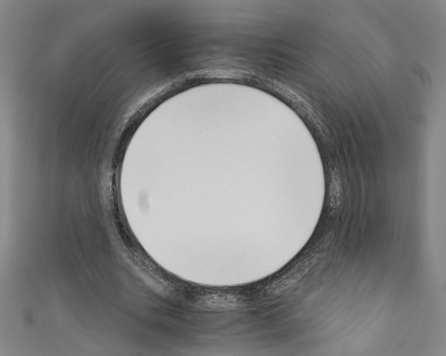 X0000110320535200907021204