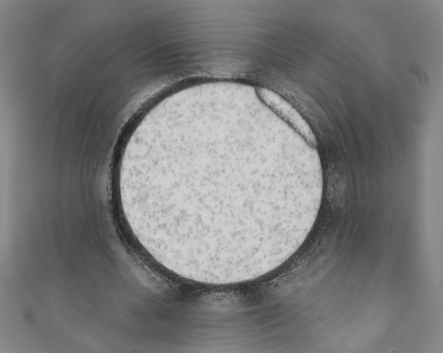 X0000110320536200907021204