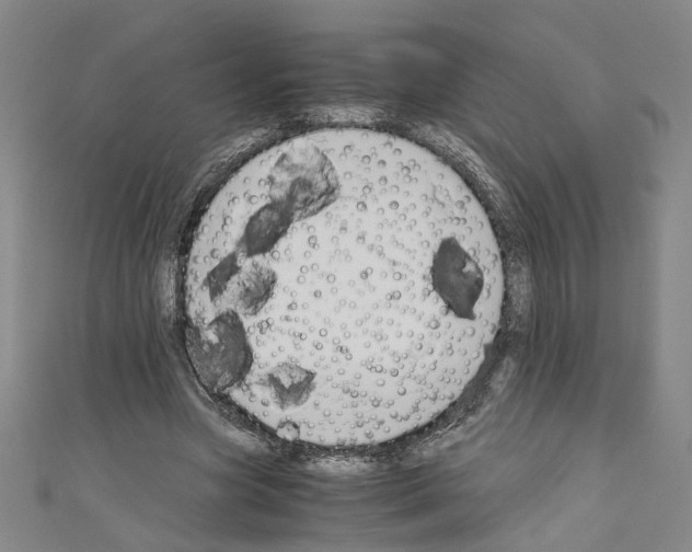 X0000110320537200907021204