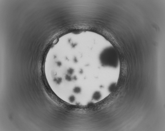 X0000110320538200907021204