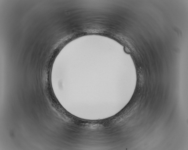 X0000110320539200907021204