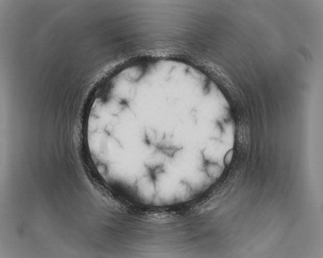 X0000110320540200907021204