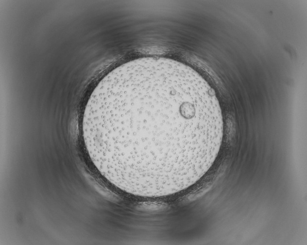 X0000110320541200907021204