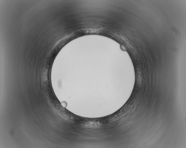 X0000110320543200907021204