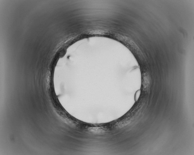 X0000110320544200907021204