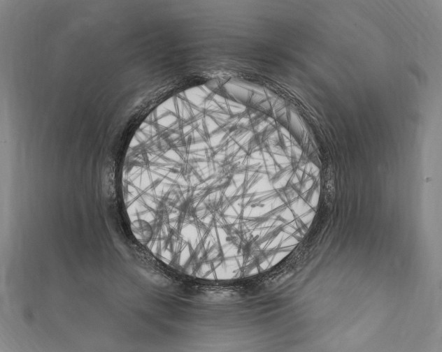 X0000110320547200907021204