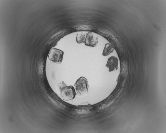 X0000110320549200907021204