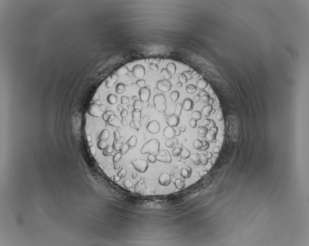 X0000110320550200907021204