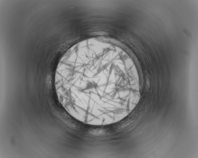 X0000110320551200907021204