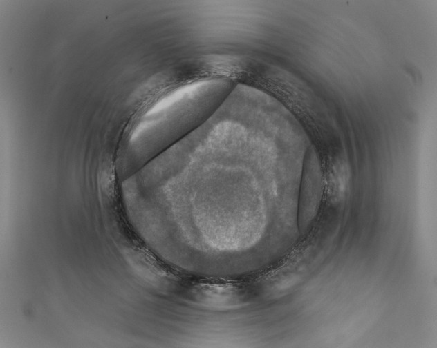 X0000110320552200907021204