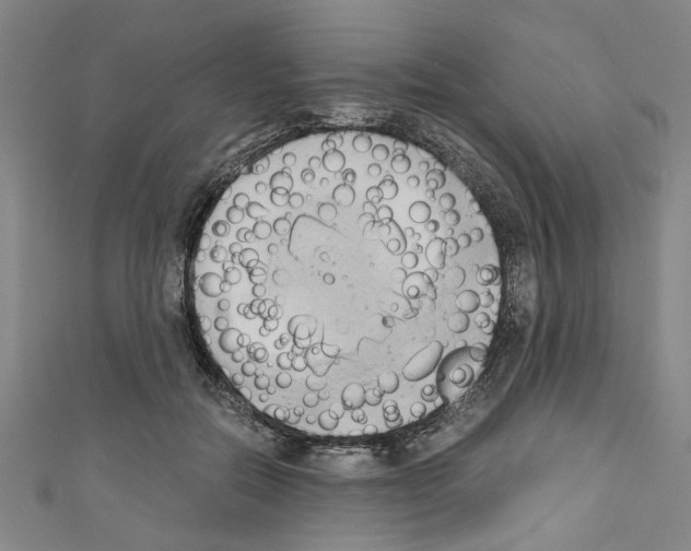 X0000110320554200907021204