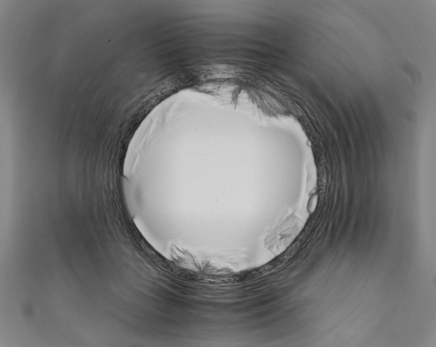 X0000110320555200907021204