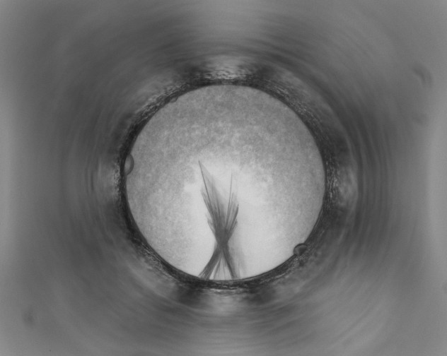 X0000110320556200907021204