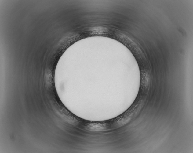 X0000110320557200907021204