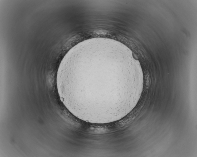 X0000110320559200907021204