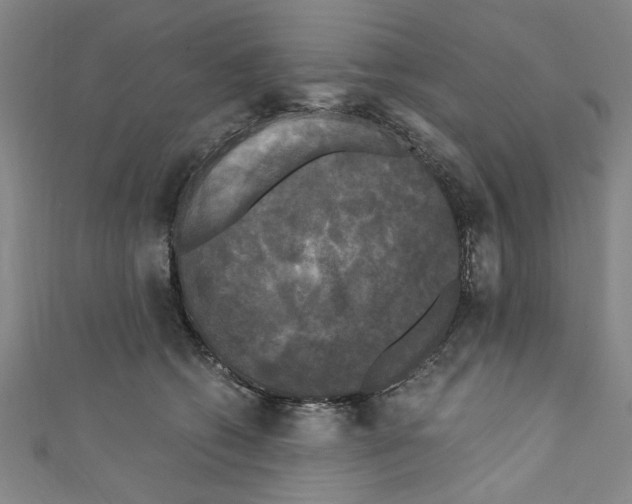 X0000110320562200907021204