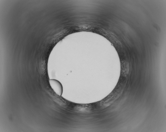 X0000110320563200907021204