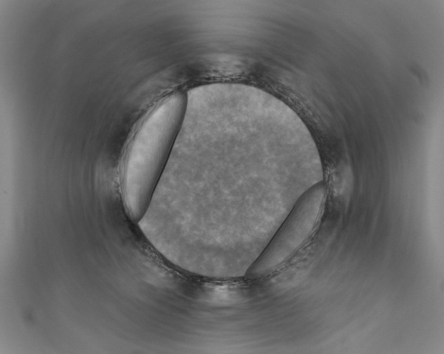 X0000110320564200907021204