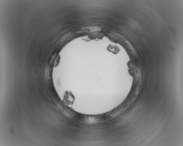 X0000110320565200907021204