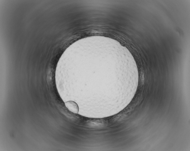 X0000110320567200907021204