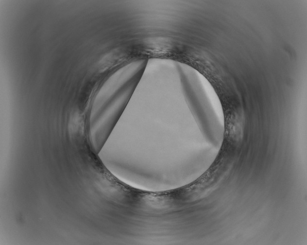 X0000110320568200907021204