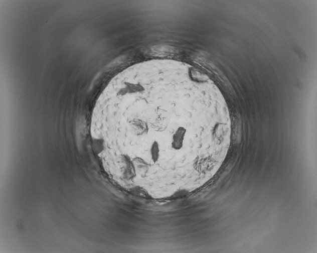 X0000110320569200907021204