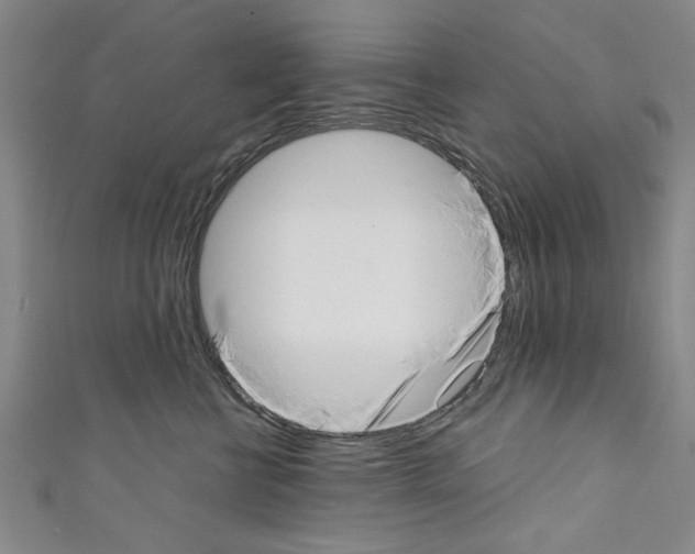 X0000110320570200907021204