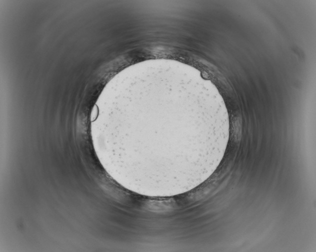 X0000110320571200907021204