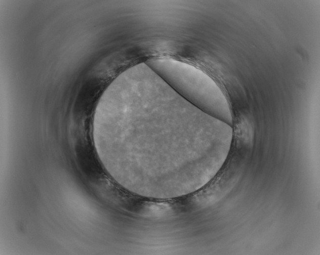 X0000110320572200907021204