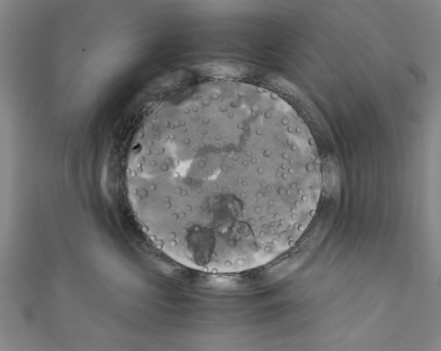 X0000110320573200907021204