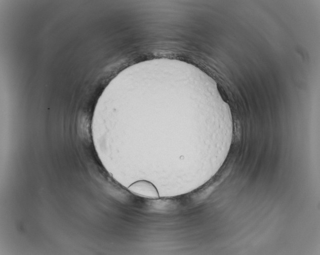 X0000110320575200907021204