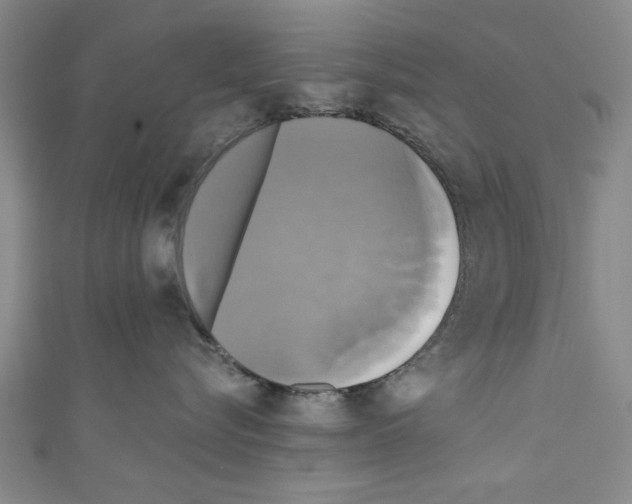 X0000110320576200907021204