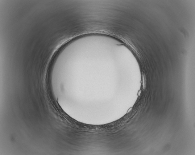 X0000110320579200907021204