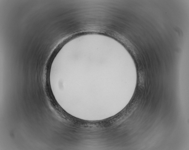 X0000110320580200907021204