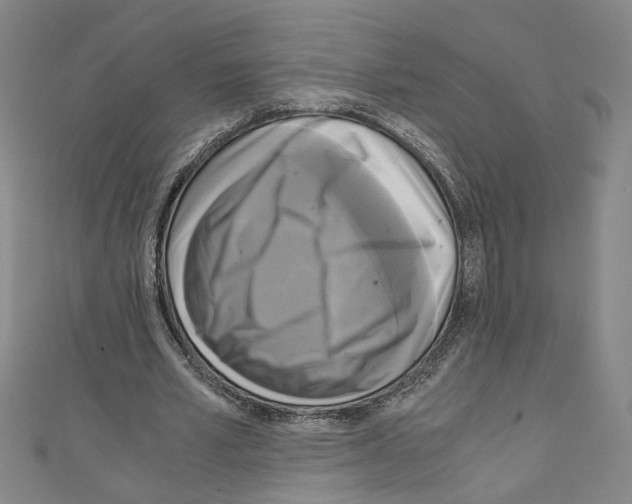 X0000110320581200907021203