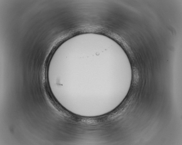 X0000110320582200907021203